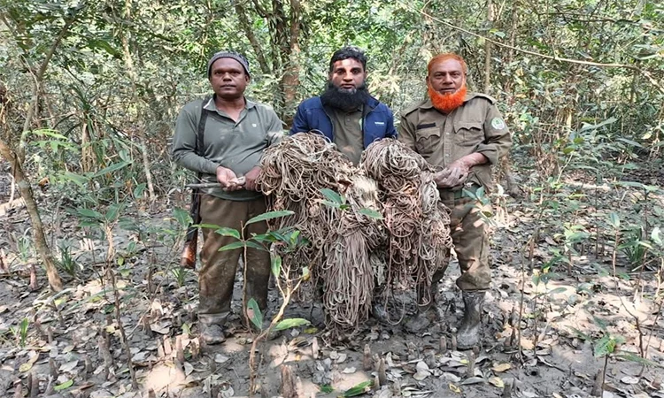 Deer traps removed from Sundarbans in Bagerhat