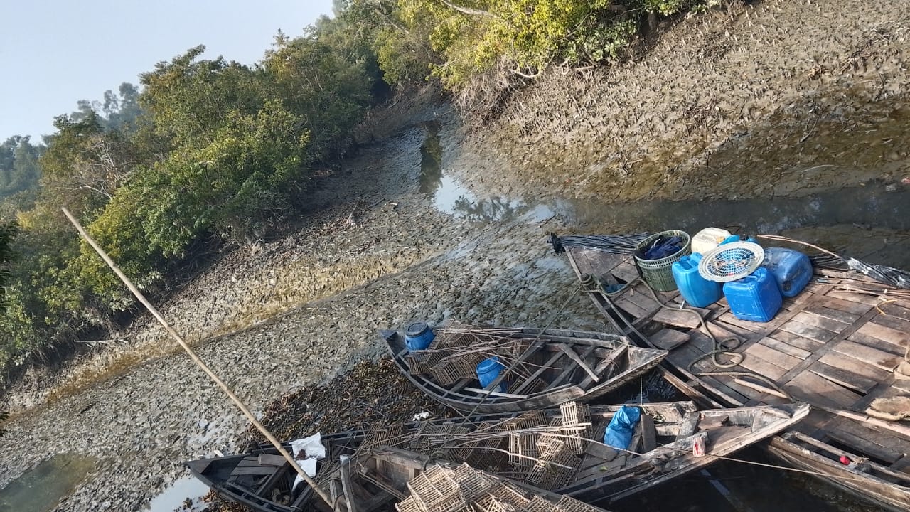 2 held for illegal crab catching in Sundarbans, boats seized