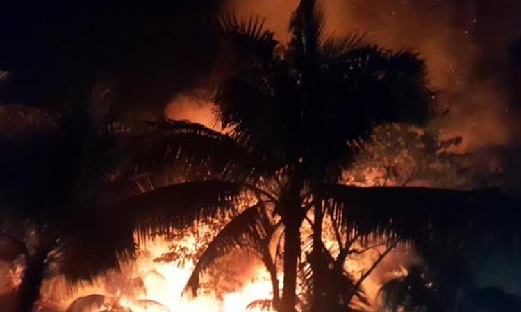 Fire guts four houses in Barguna, one injured