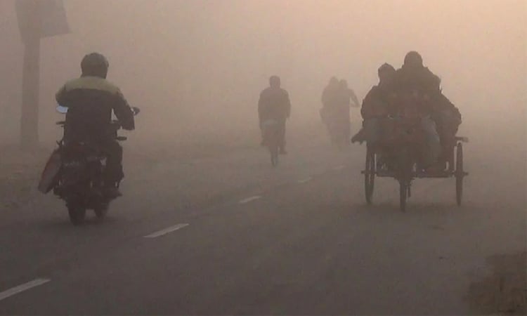 Minimum temperature falls by 1°C, mild cold wave persists