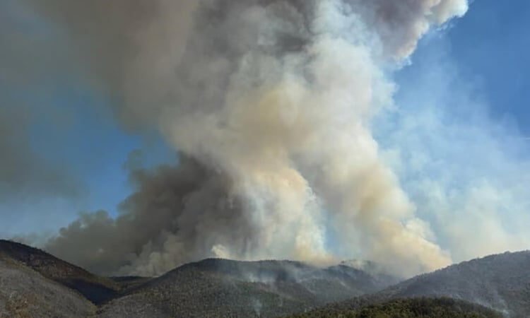 Scores of homes razed, one dead in Australian bushfires