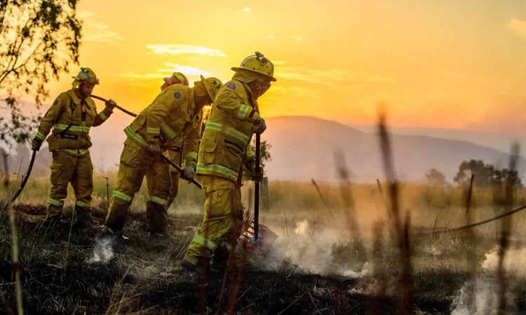 Australian firefighters warn of 'high-risk' bushfire season