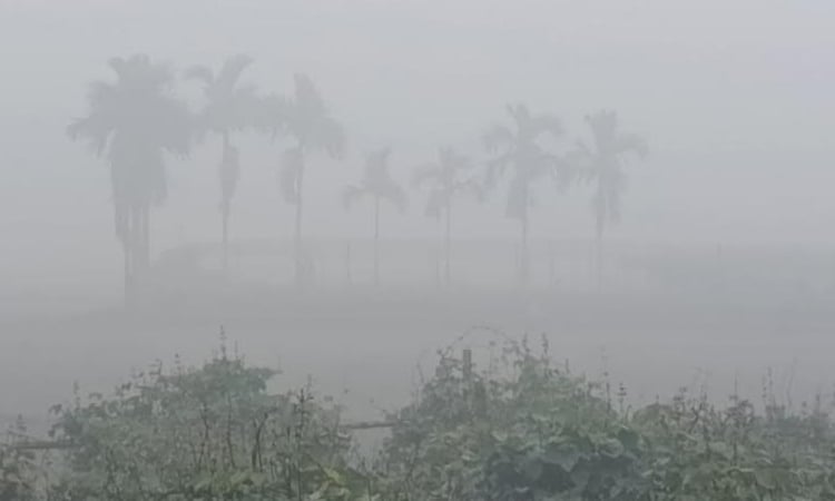 Panchagarh shivers as country's lowest temperature persists for fourth day