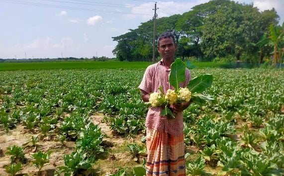 Char land farming boosts commercial agriculture in Rajshahi region