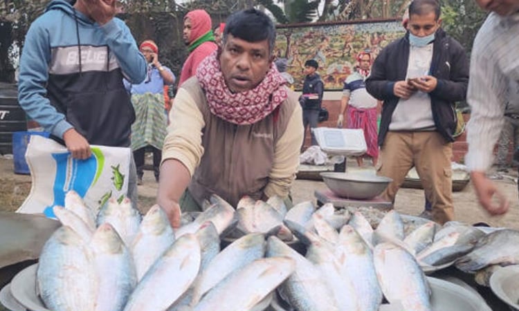 Shariatpur hosts traditional 'Pair Hilsa Fair' amid festivity 