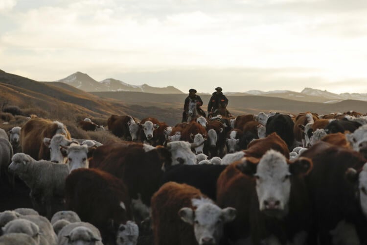 South American bloc to ink long-awaited trade deal with EU