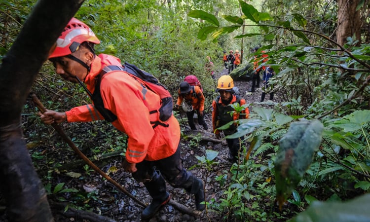Indonesian rescuers find debris from missing plane