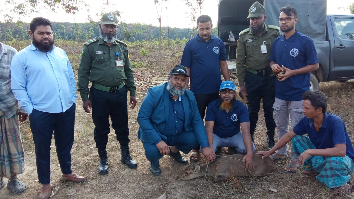Sambar deer rescued in Ctg, released into forest