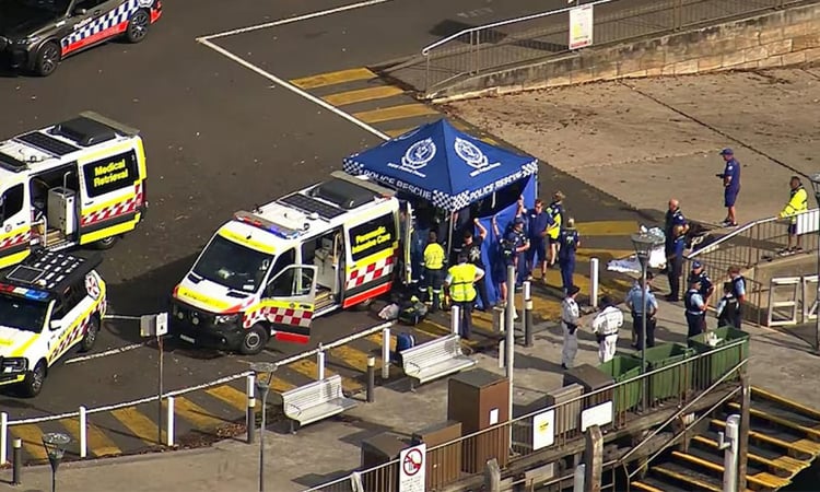 Boy 'fighting for life' after Sydney shark attack
