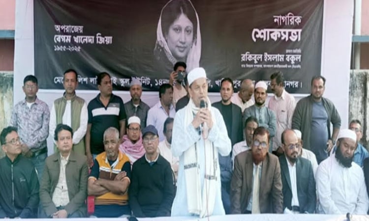 BNP plans hospital, health cards for citizens: Bakul