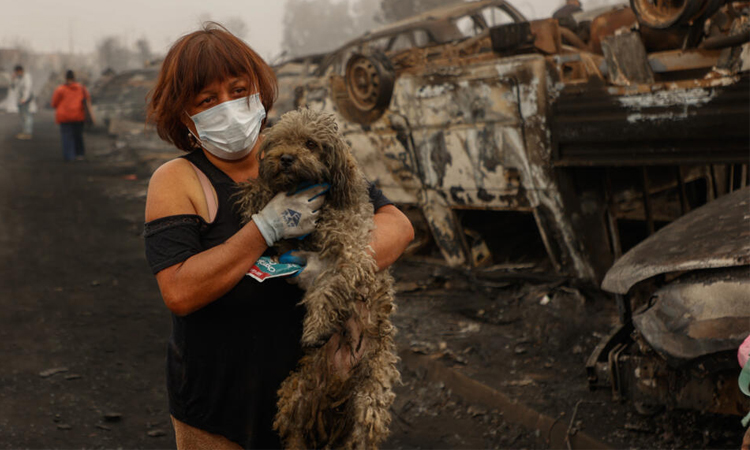 Chile blaze victims plead for help from razed neighborhoods