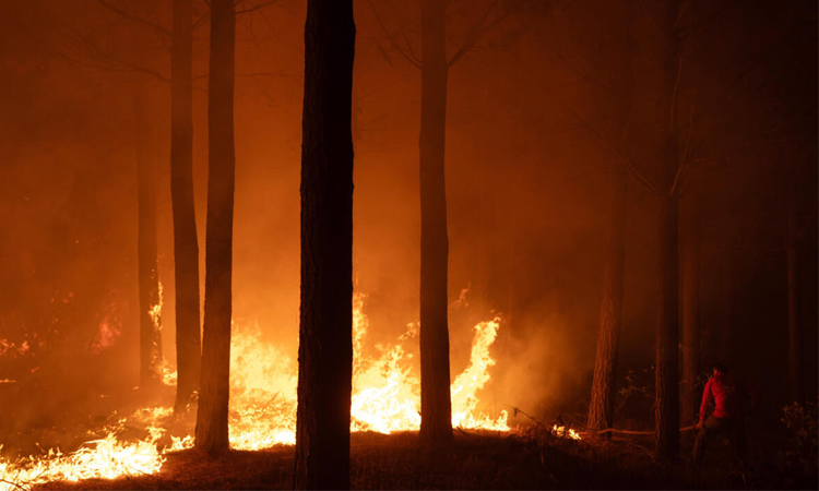 Climate change fuels disasters, but deaths don't add up