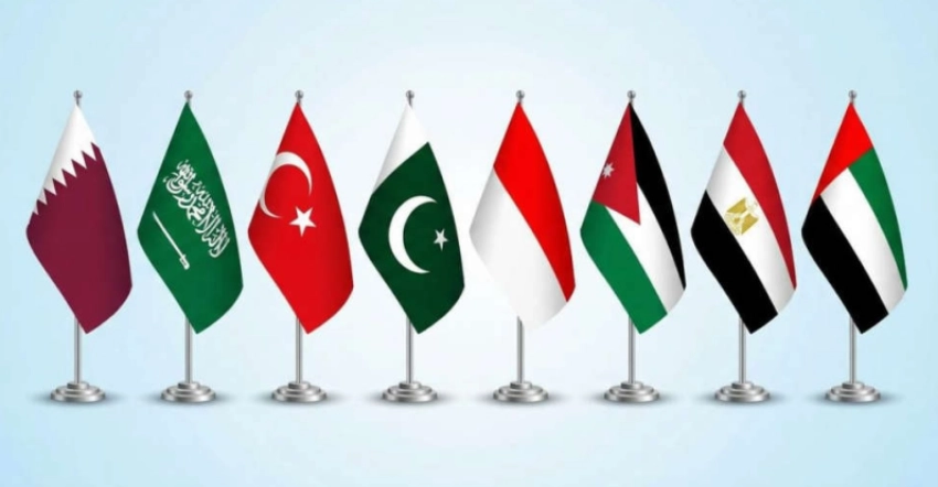 Saudi Arabia, Qatar, seven others accept Trump 'Board of Peace' invite: statement