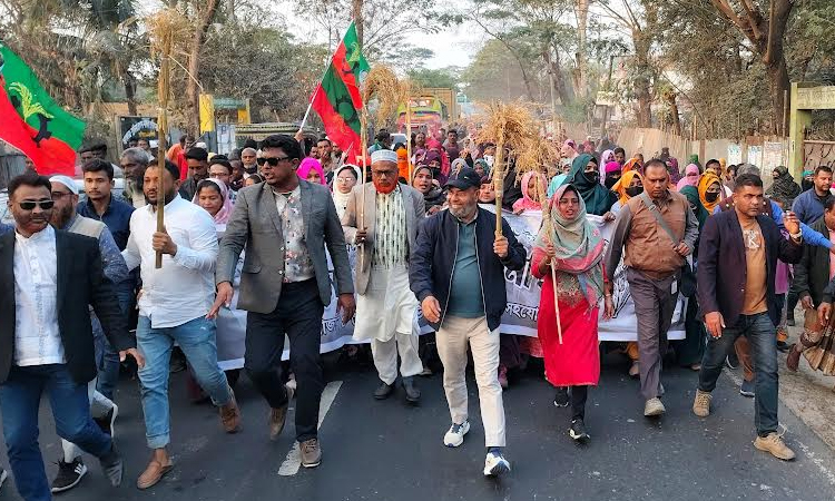 'Vote for rice sheaf to restore democracy'