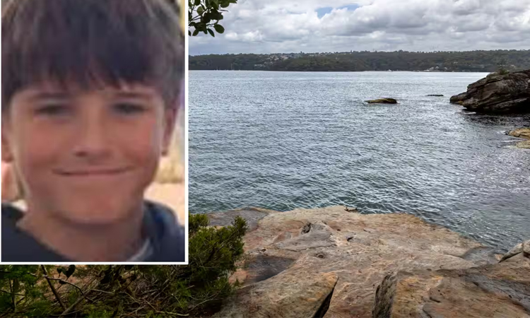 Australian 12-year-old bitten by shark dies