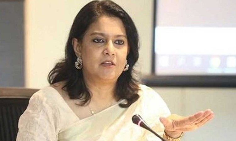 Excessive use of horns causes greatest harm to drivers themselves: Rizwana