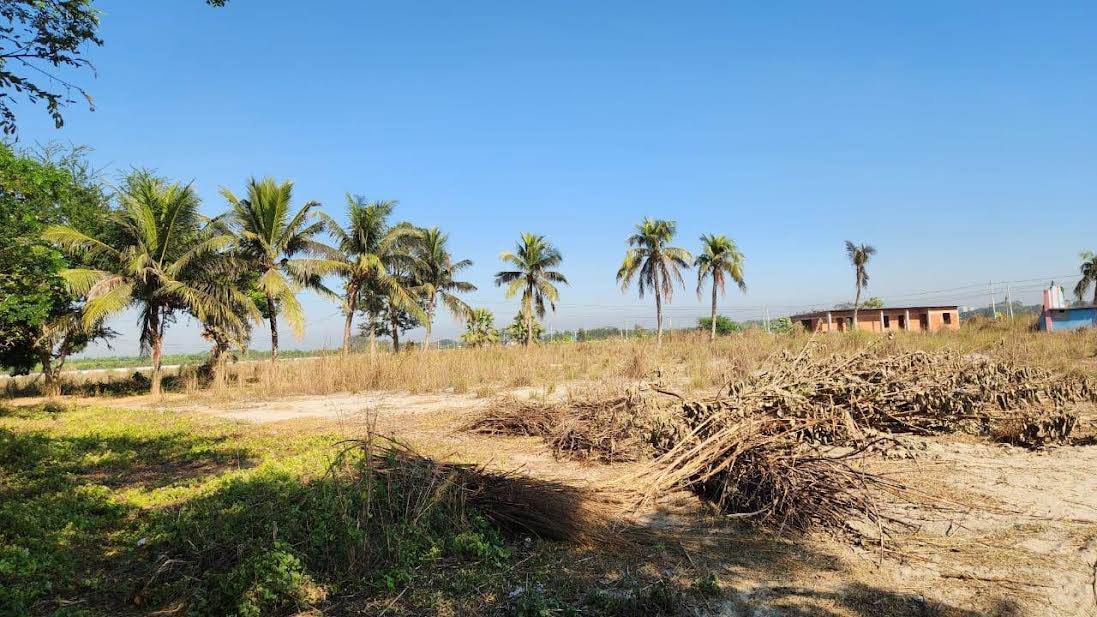 Tk 300cr Haji Shariatullah Tantpalli project turns into wasteland