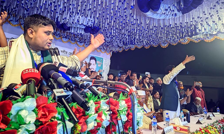 'Yes' vote will reshape parliament's power structure: Hasnat Abdullah