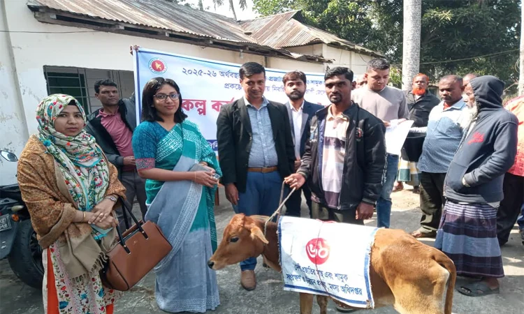 Fishermen receive calves in Barishal