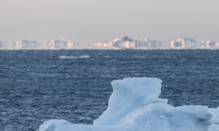 AI to track icebergs adrift at sea in boon for science