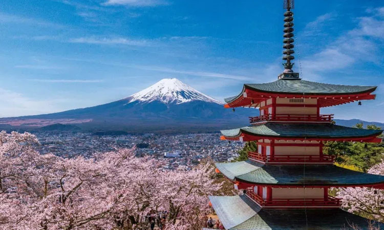 Mount Fuji cherry blossom festival cancelled due to overtourism