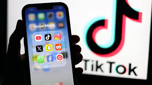 Albania lifts TikTok ban: official