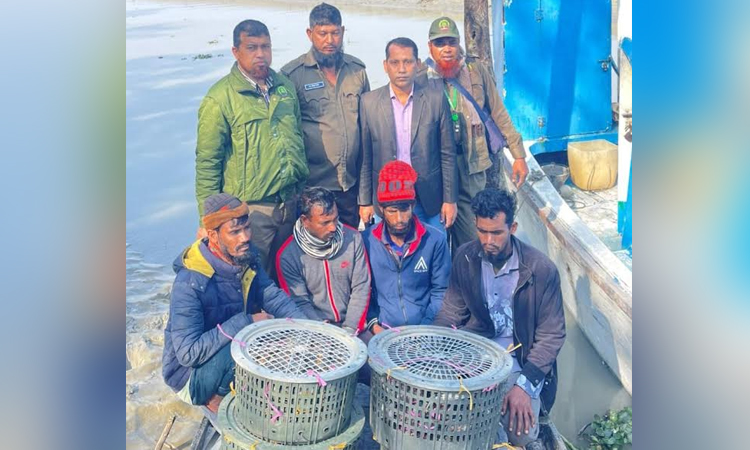 Four held with 80-kg crabs in Sundarbans, trawler, boat seized