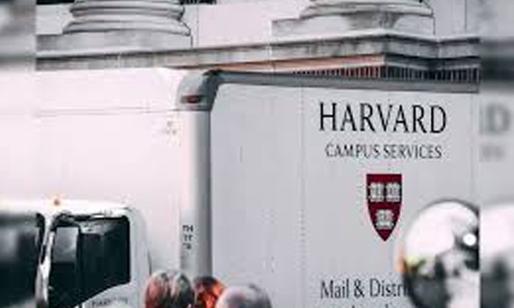 Pentagon to cut academic ties with Harvard: statement