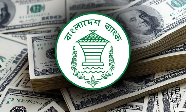 21pc growth of remittance inflow till Feb 7