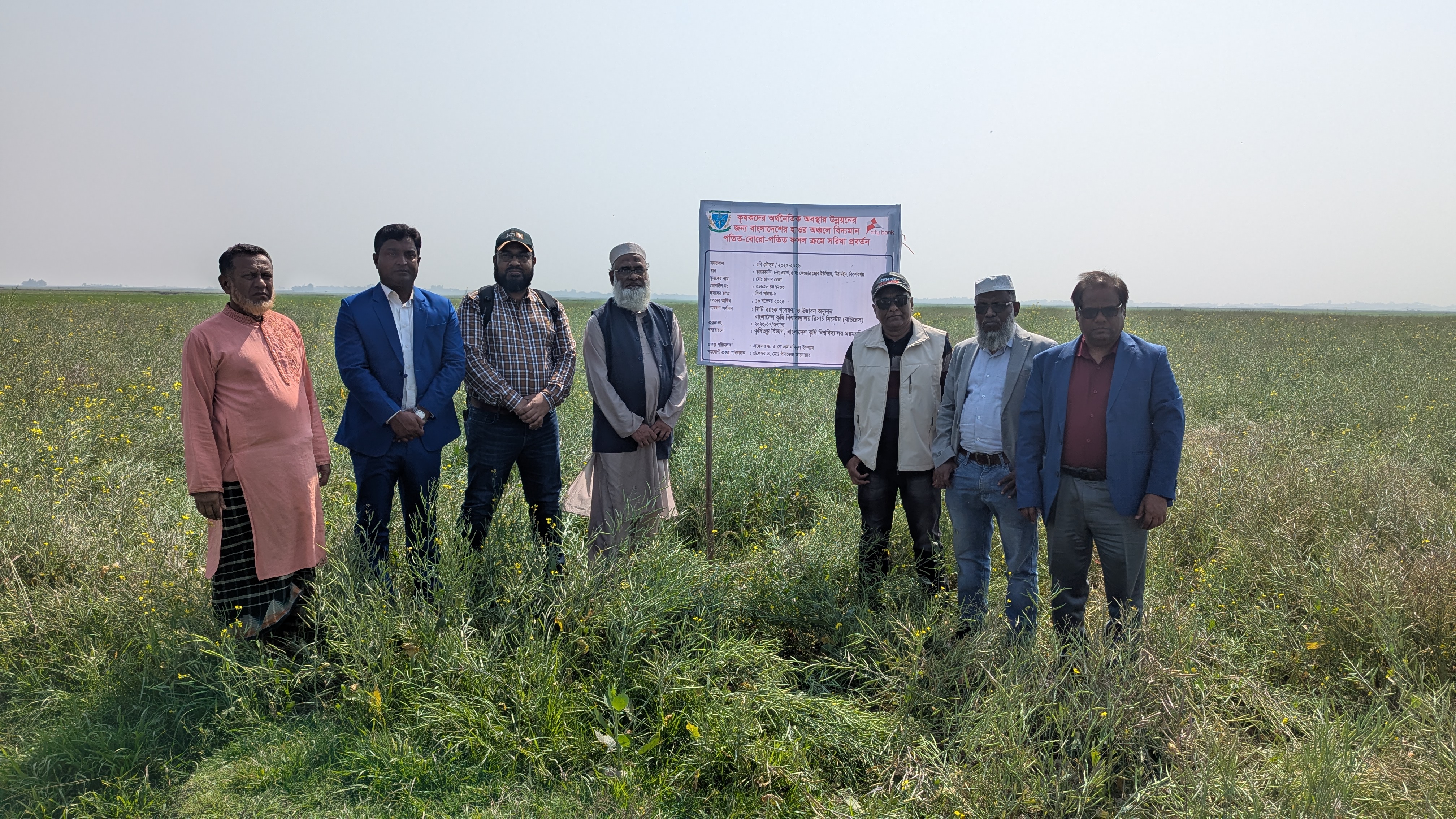 BAU research opens new possibilities for mustard cultivation in Haor areas
