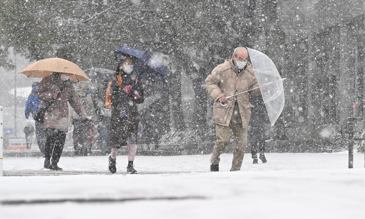 Death toll from heavy snowfall in Japan rises to 46