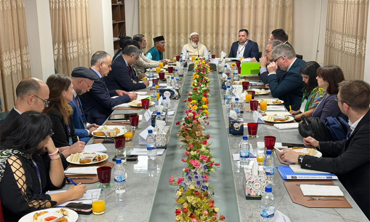 EU election mission chief pays courtesy call on Jamaat Ameer