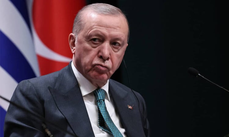 Erdogan postpones UAE visit, saying leader has 'health problem'