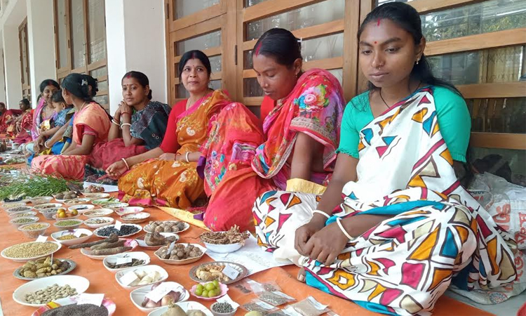 Preservation of local seeds stressed to boost rural economy