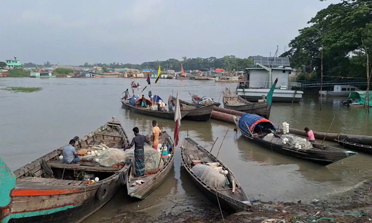 Govt bans fishing in Meghna for two months to protect jatka