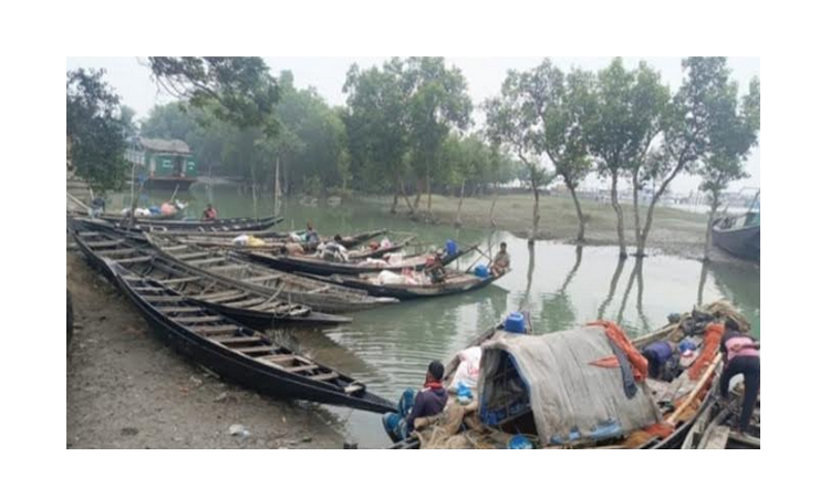 Crab harvesting resumes in Satkhira Range of Sundarbans after two-month ban