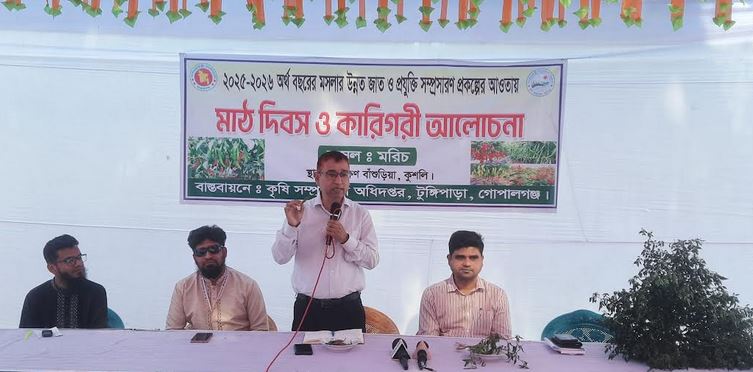 Success in chili cultivation using modern technology in Gopalganj