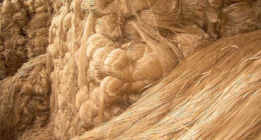 National Jute Day-2026 will be observed tomorrow