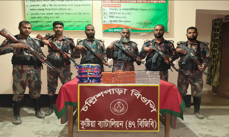 BGB seizes Indian drugs, smuggled goods worth Tk60 lakh in Kushtia