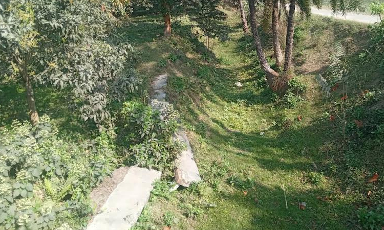 Soil fertility declining in Rajshahi due to lack of canal excavation