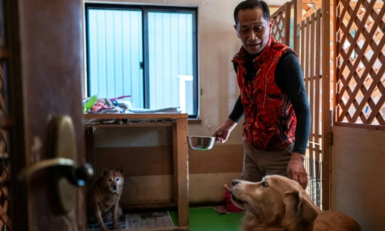 Former Fukushima worker devotes life to abandoned pets