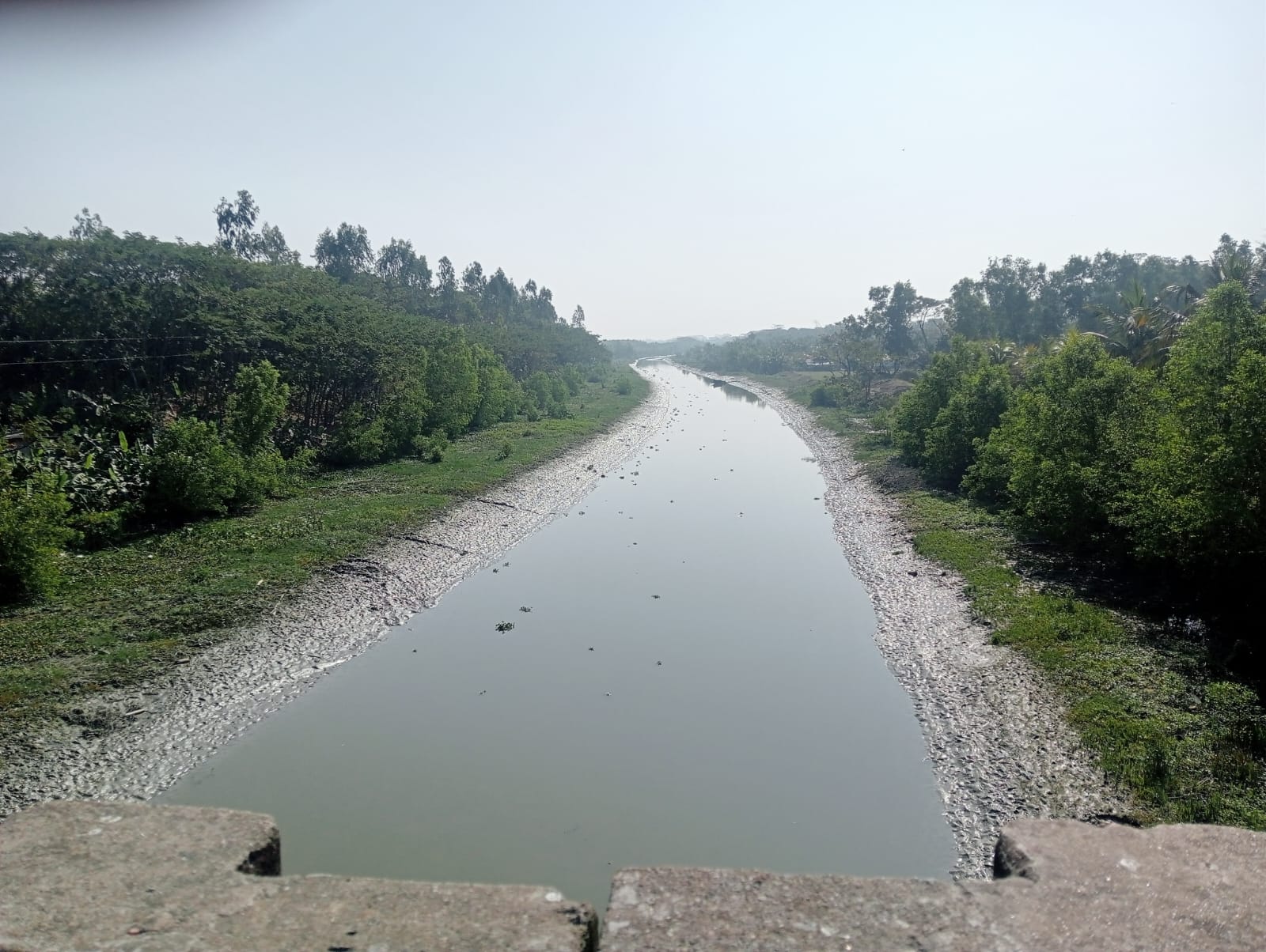 Bhairab river faces severe threat from encroachment, pollution in Bagerhat 