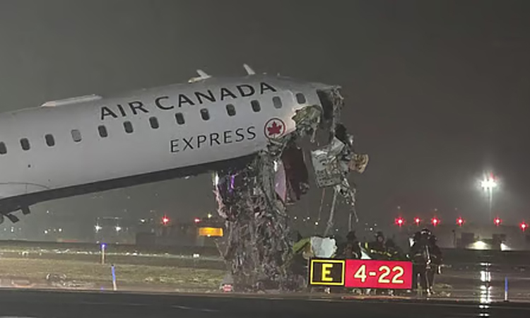 'Incident' between plane, vehicle halts flights at New York's LaGuardia