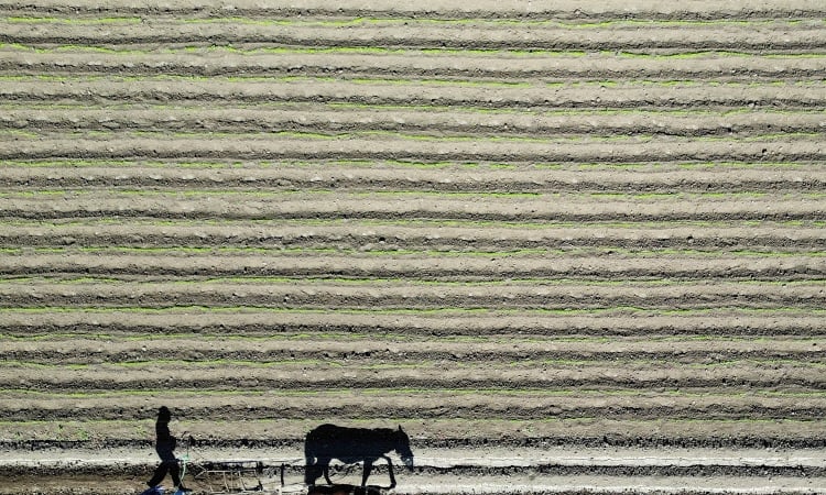 Top WTO official sounds fertiliser warning over Middle East war