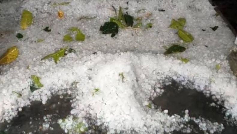 Hailstorm damages 3,864 hectares of paddy fields in Kishoreganj