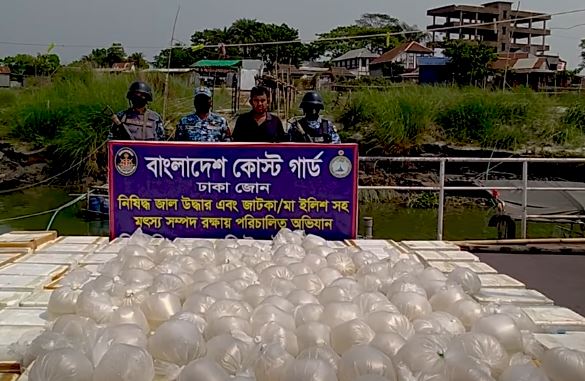 Shrimp renu worth Tk over 5.62 cr seized in Munshiganj