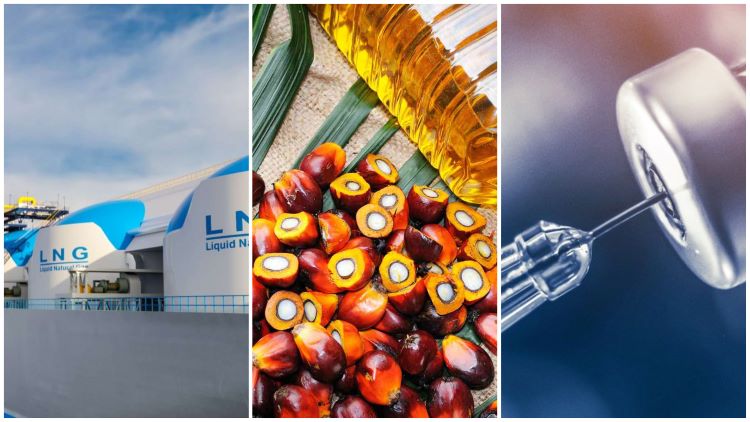 Govt to procure 2 cargo LNG, palm oil, vaccines 