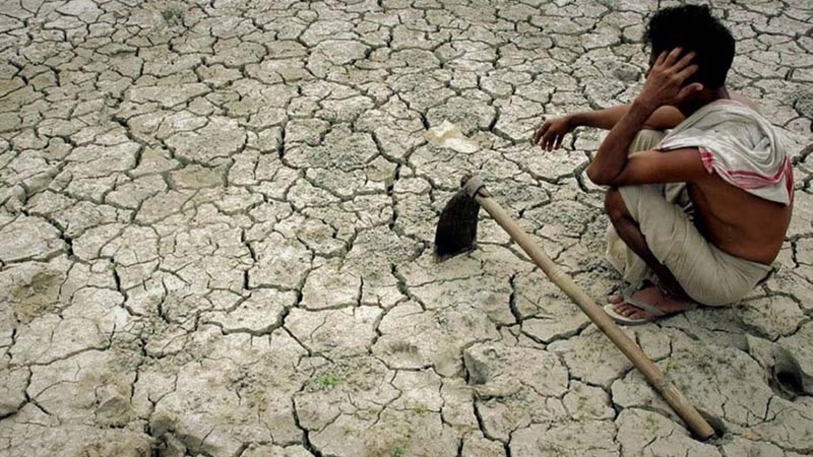 Study finds drought lowering crop yields in Barind region