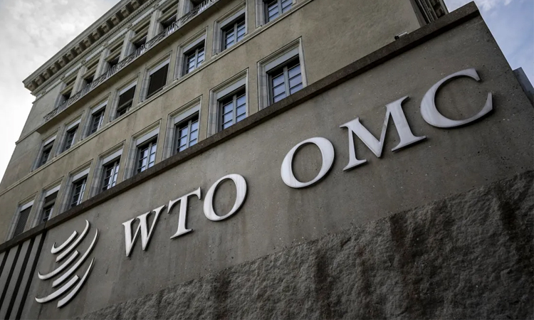 Top US trade official slams WTO after failed talks