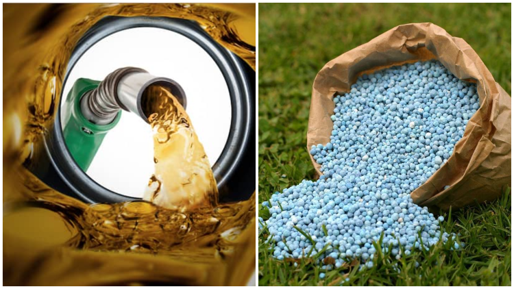 CCGP approves procurement of fertilizer, fuel